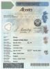 Birth Certificate - Archie Soucy